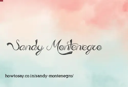 Sandy Montenegro