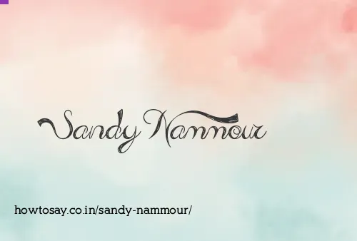 Sandy Nammour