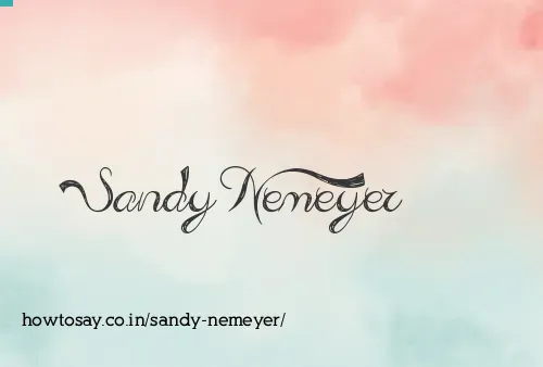 Sandy Nemeyer