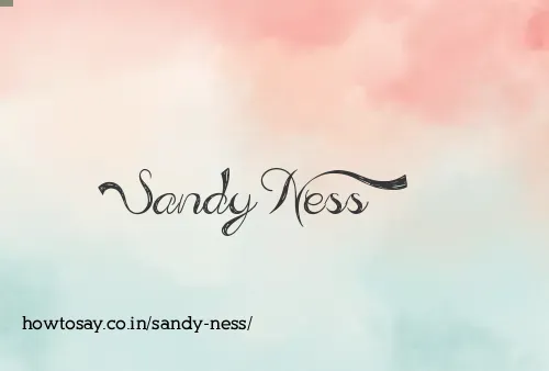 Sandy Ness