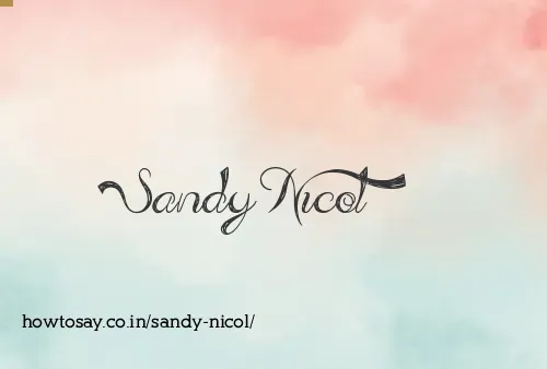 Sandy Nicol