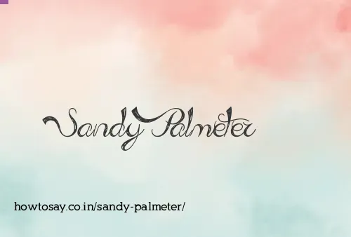 Sandy Palmeter