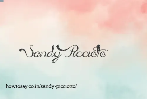 Sandy Picciotto