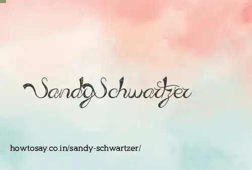 Sandy Schwartzer