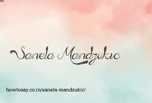 Sanela Mandzukic