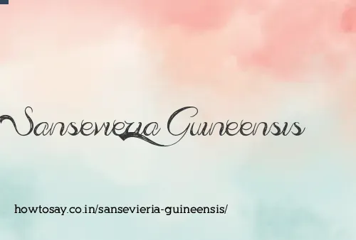 Sansevieria Guineensis