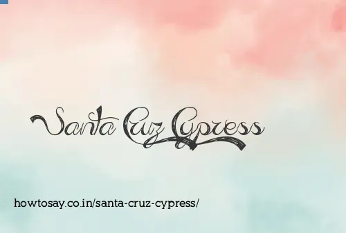Santa Cruz Cypress