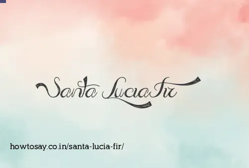 Santa Lucia Fir