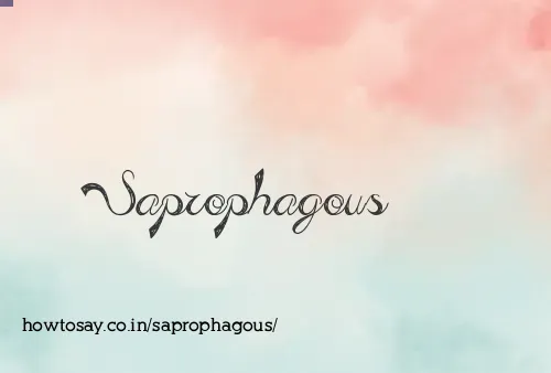 Saprophagous