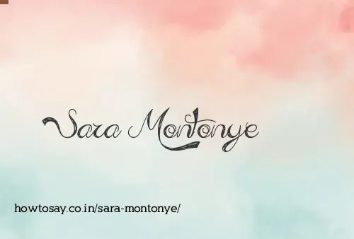 Sara Montonye