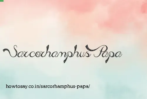 Sarcorhamphus Papa