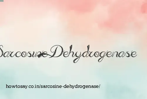 Sarcosine Dehydrogenase