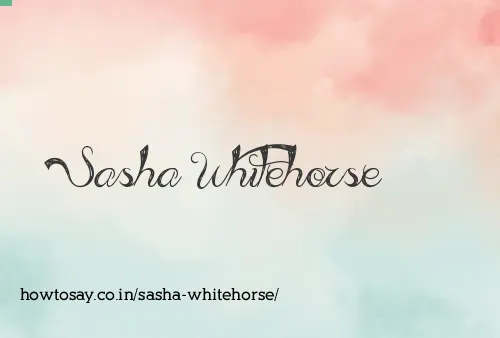 Sasha Whitehorse