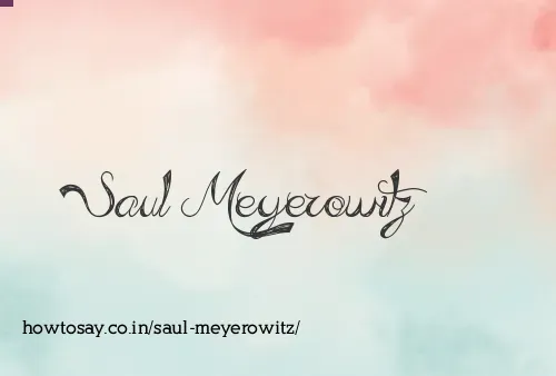 Saul Meyerowitz