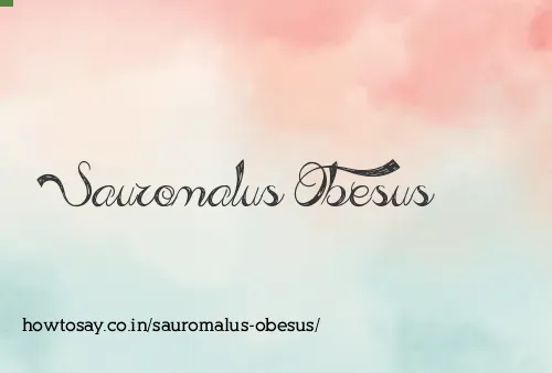 Sauromalus Obesus