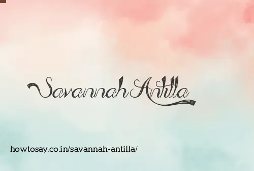 Savannah Antilla