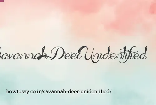 Savannah Deer Unidentified