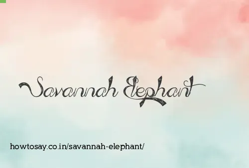 Savannah Elephant