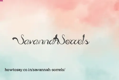 Savannah Sorrels