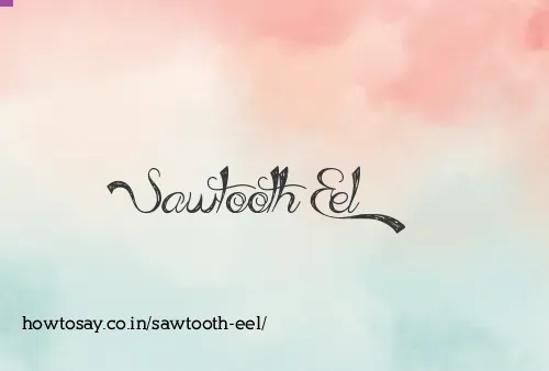 Sawtooth Eel