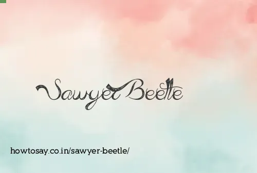 Sawyer Beetle