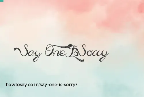 Say One Is Sorry