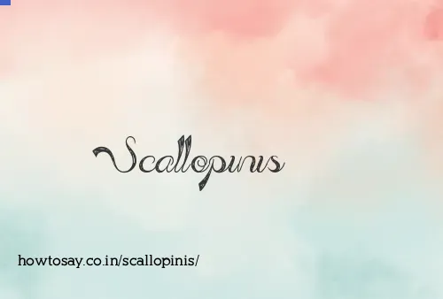 Scallopinis