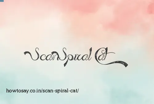 Scan Spiral Cat