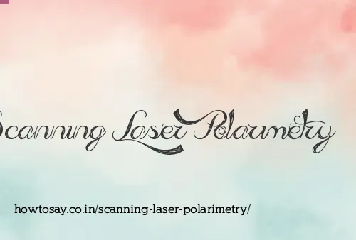 Scanning Laser Polarimetry