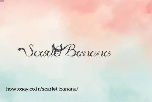 Scarlet Banana