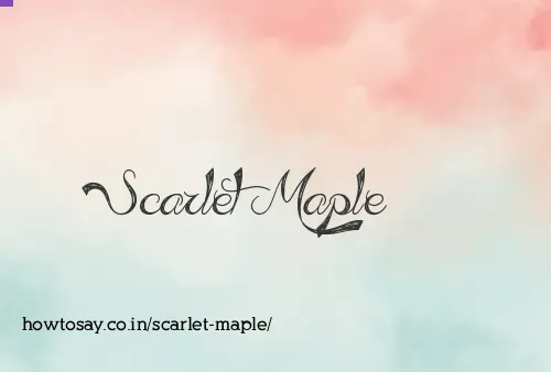 Scarlet Maple