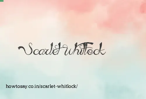 Scarlet Whitlock