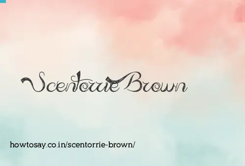 Scentorrie Brown
