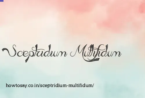 Sceptridium Multifidum