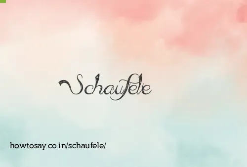 Schaufele