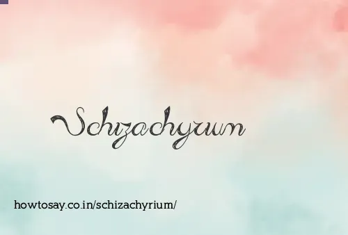 Schizachyrium