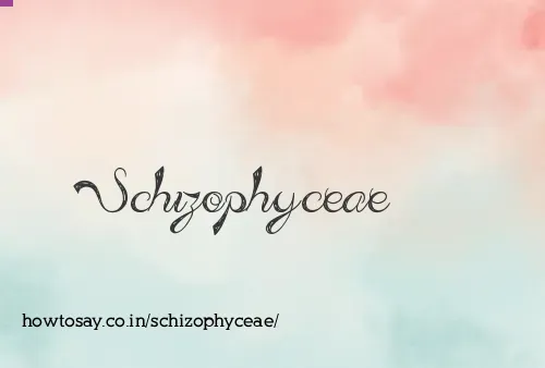 Schizophyceae