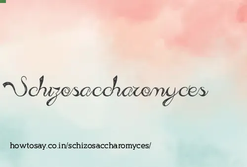 Schizosaccharomyces