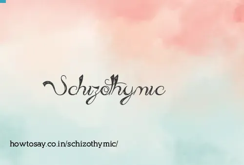 Schizothymic