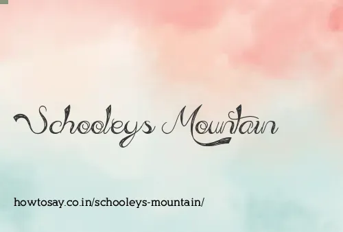 Schooleys Mountain