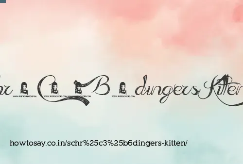 Schrödingers Kitten