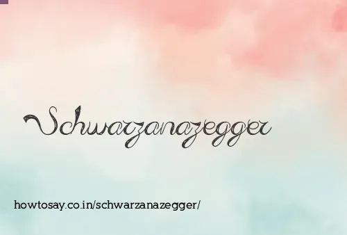 Schwarzanazegger