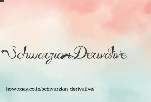Schwarzian Derivative