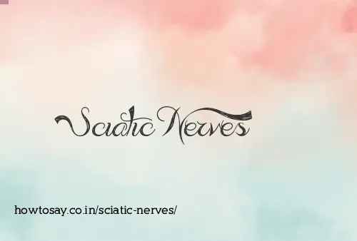 Sciatic Nerves