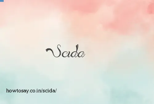 Scida