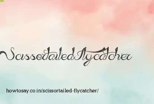 Scissortailed Flycatcher