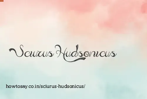 Sciurus Hudsonicus