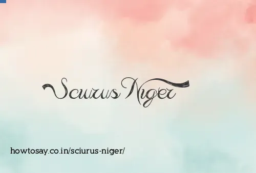 Sciurus Niger