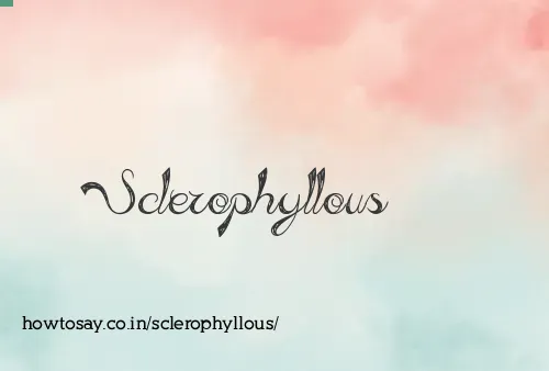 Sclerophyllous