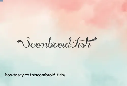 Scombroid Fish